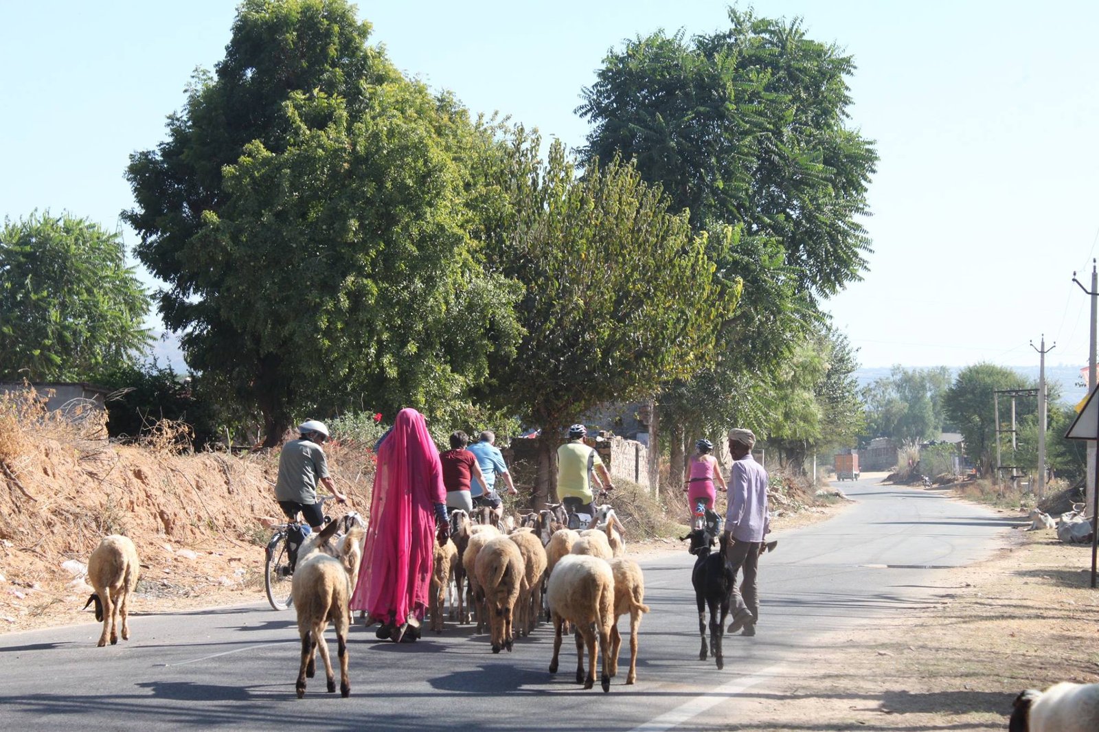 10 Days Southern India - Karala Cycling Holidays